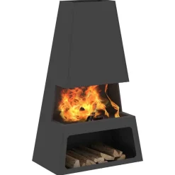 vidaXL Braise Noir 60 x 35 x 100 cm Acier