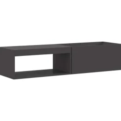 Cheminées-vidaXL Braise Noir 160 x 45 x 35 cm Acier Acier laminé &agrave; froid/noir