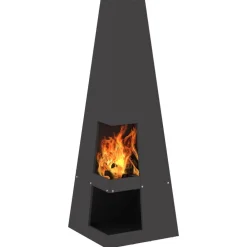 vidaXL Braise Noir 35 x 35 x 100 cm Acier