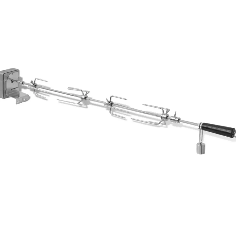 vidaXL Broche à rôtir avec moteur 1000 mm Acier