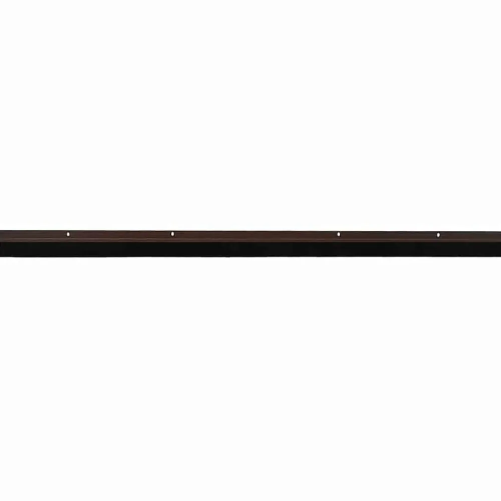 vidaXL Brosses d'étanchéité pour porte à visser 2 pcs 100 cm