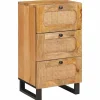 vidaXL Buffet avec tiroir Marron 40 x 33 x 75 cm Bois de mangue massif