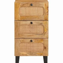 vidaXL Buffet avec tiroir Marron 40 x 33 x 75 cm Bois de mangue massif