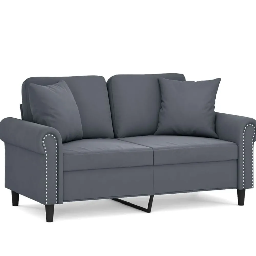 vidaXL Canapé 2 places avec oreillers 120 cm velours
