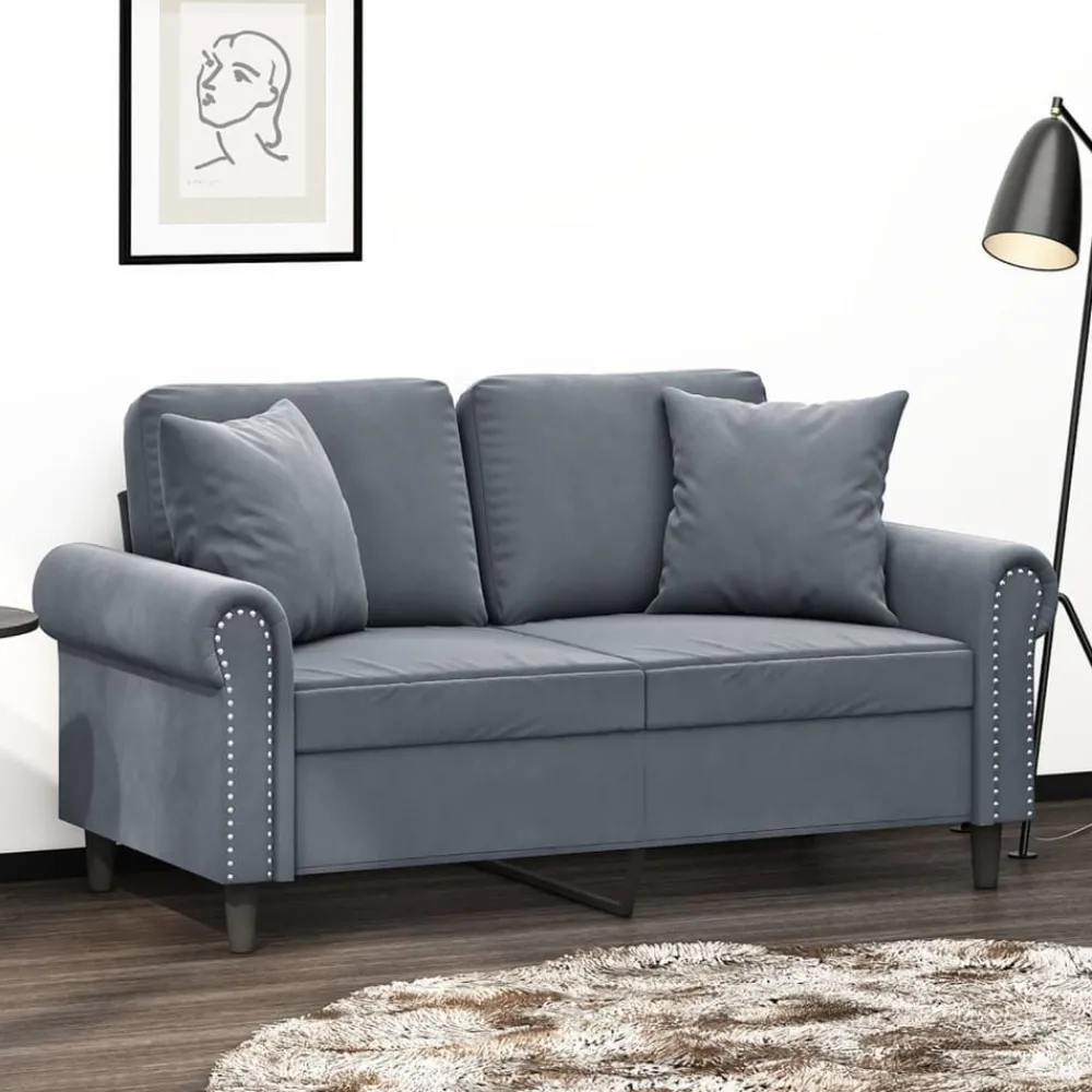 vidaXL Canapé 2 places avec oreillers 120 cm velours