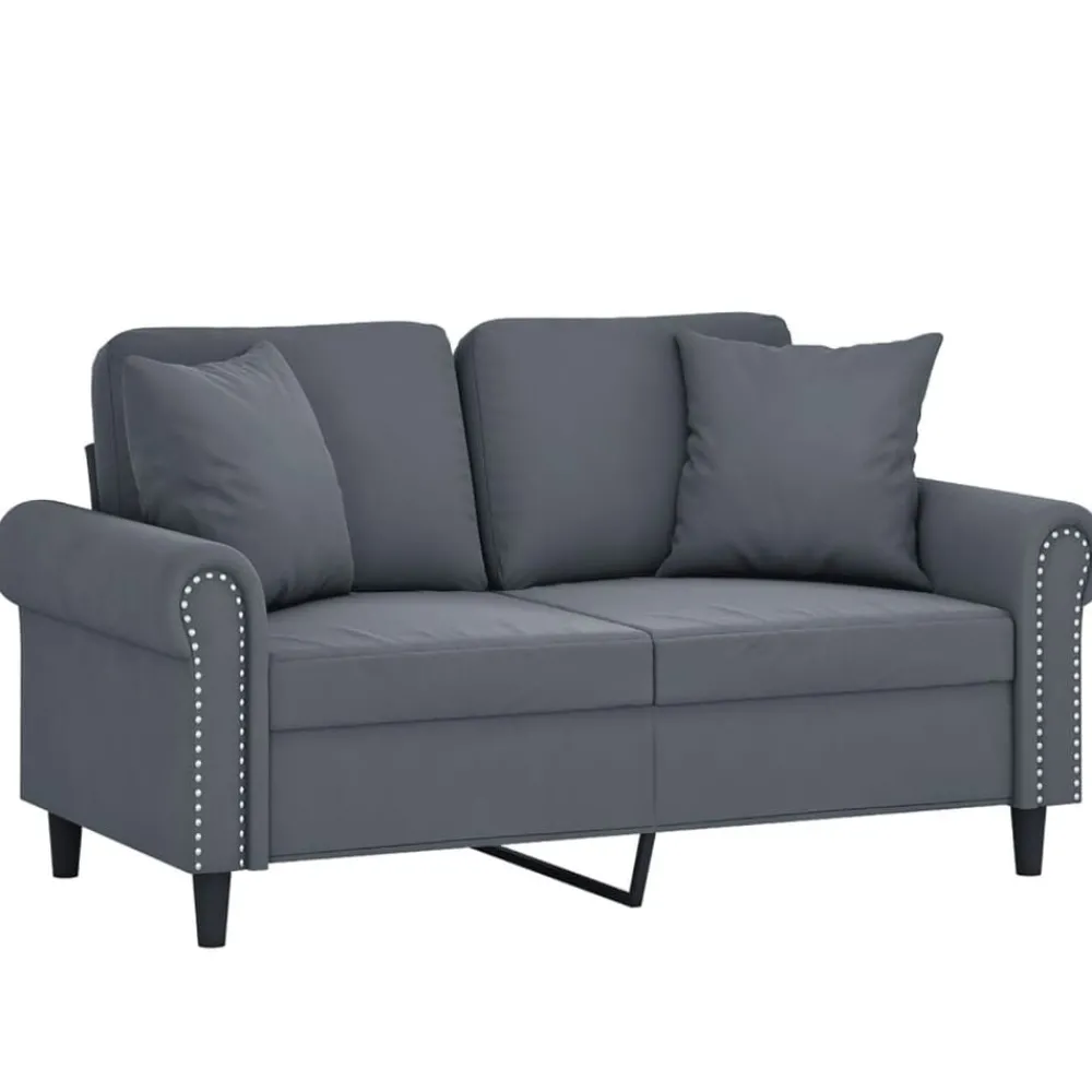 vidaXL Canapé 2 places avec oreillers 120 cm velours