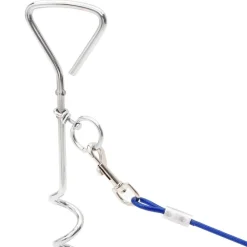 Articles Pour Animaux De Compagnie-vidaXL Câble d'attache pour chien avec piquet de sol 3 m