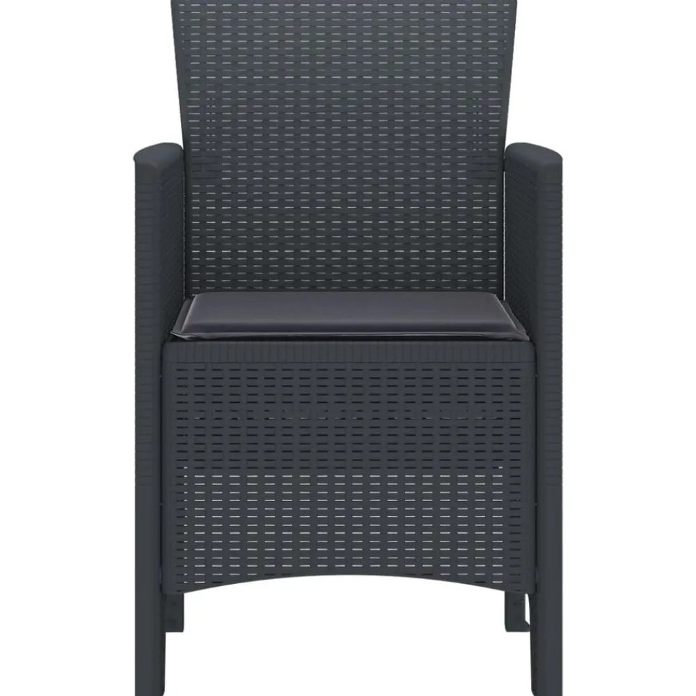 vidaXL Chaise de jardin 2 pcs Anthracite 53 x 49 x 85 cm Polypropylène