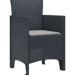 vidaXL Chaise de jardin 2 pcs Anthracite 53 x 49 x 85 cm Polypropylène