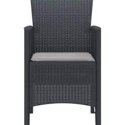 vidaXL Chaise de jardin 2 pcs Anthracite 53 x 49 x 85 cm Polypropylène