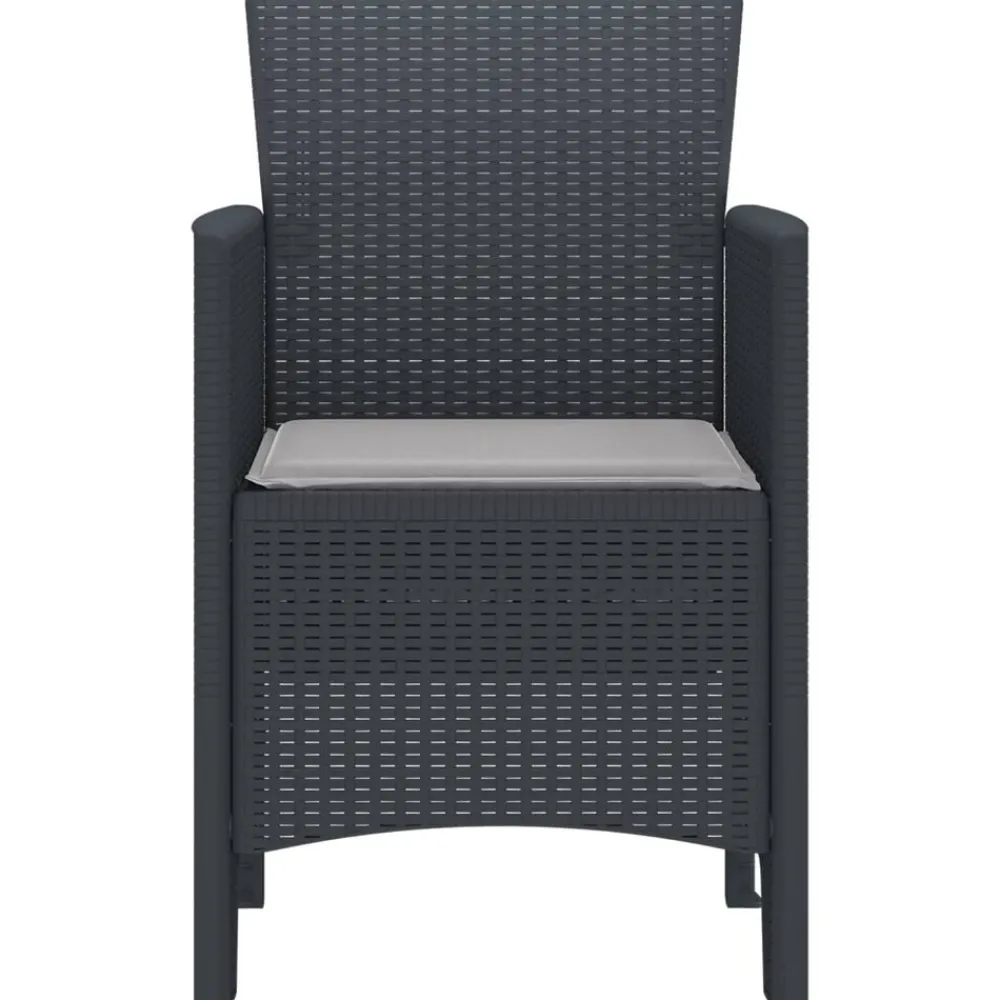 vidaXL Chaise de jardin 2 pcs Anthracite 53 x 49 x 85 cm Polypropylène