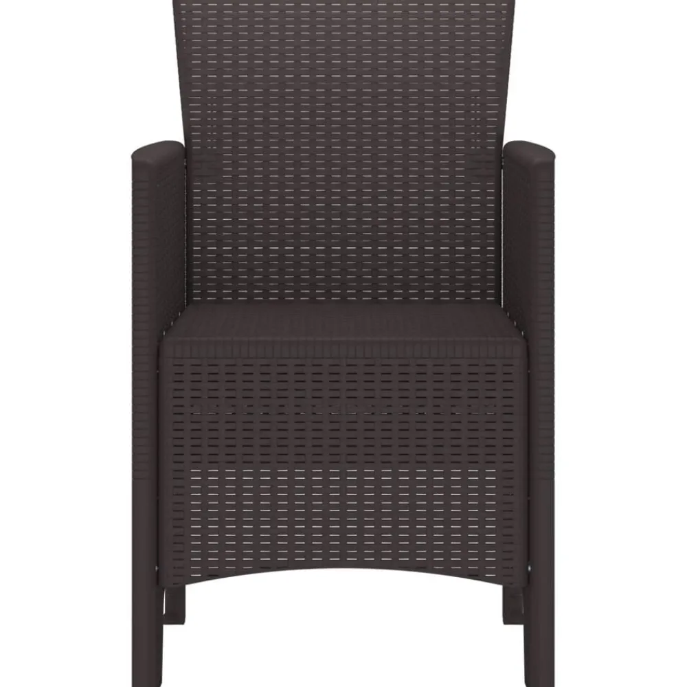vidaXL Chaise de jardin 2 pcs Marron 53 x 49 x 85 cm Polypropylène