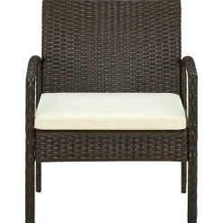 Mobilier De Jardin-vidaXL Chaise de jardin avec coussin Résine tressée Marron