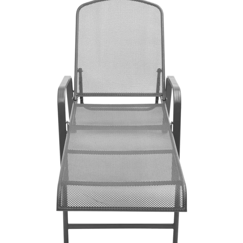 Mobilier De Jardin-vidaXL Chaise longue acier anthracite