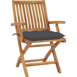 Mobilier De Jardin-vidaXL Chaises de jardin lot de 2 et coussins Bois de teck Anthracite