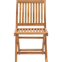 Mobilier De Jardin-vidaXL Chaises de jardin pliables lot de 2 Bois de teck massif