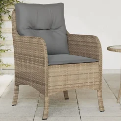 vidaXL Chaises de jardin avec coussins lot de 2 mélange beige rotin