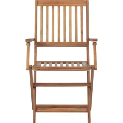 Mobilier De Jardin-vidaXL Chaises pliables d'extérieur lot de 2 Bois d'acacia solide