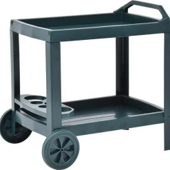 Chariots & Îlots-vidaXL Chariot à boissons 69x53x72 cm Plastique Vert