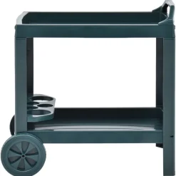 Chariots & Îlots-vidaXL Chariot à boissons 69x53x72 cm Plastique Vert