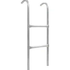 vidaXL Échelle de trampoline à 2 marches Acier Argenté 72 cm (Convient pour une Hauteur de 65 cm)