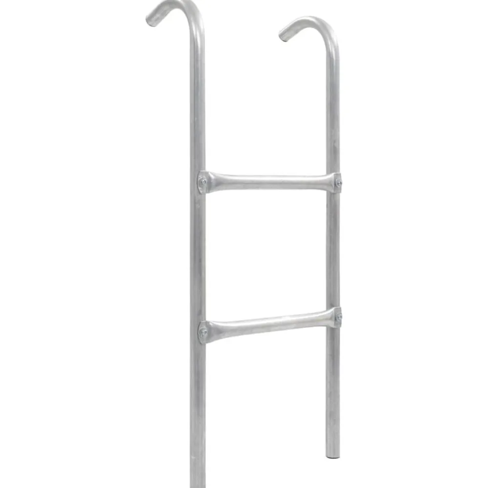vidaXL Échelle de trampoline à 2 marches Acier Argenté 72 cm (Convient pour une Hauteur de 65 cm)