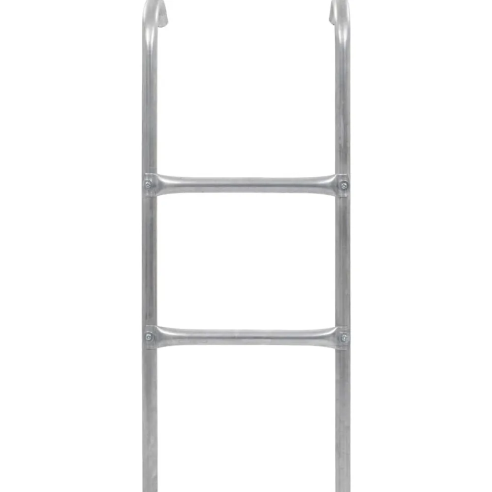 vidaXL Échelle de trampoline à 2 marches Acier Argenté 72 cm (Convient pour une Hauteur de 65 cm)