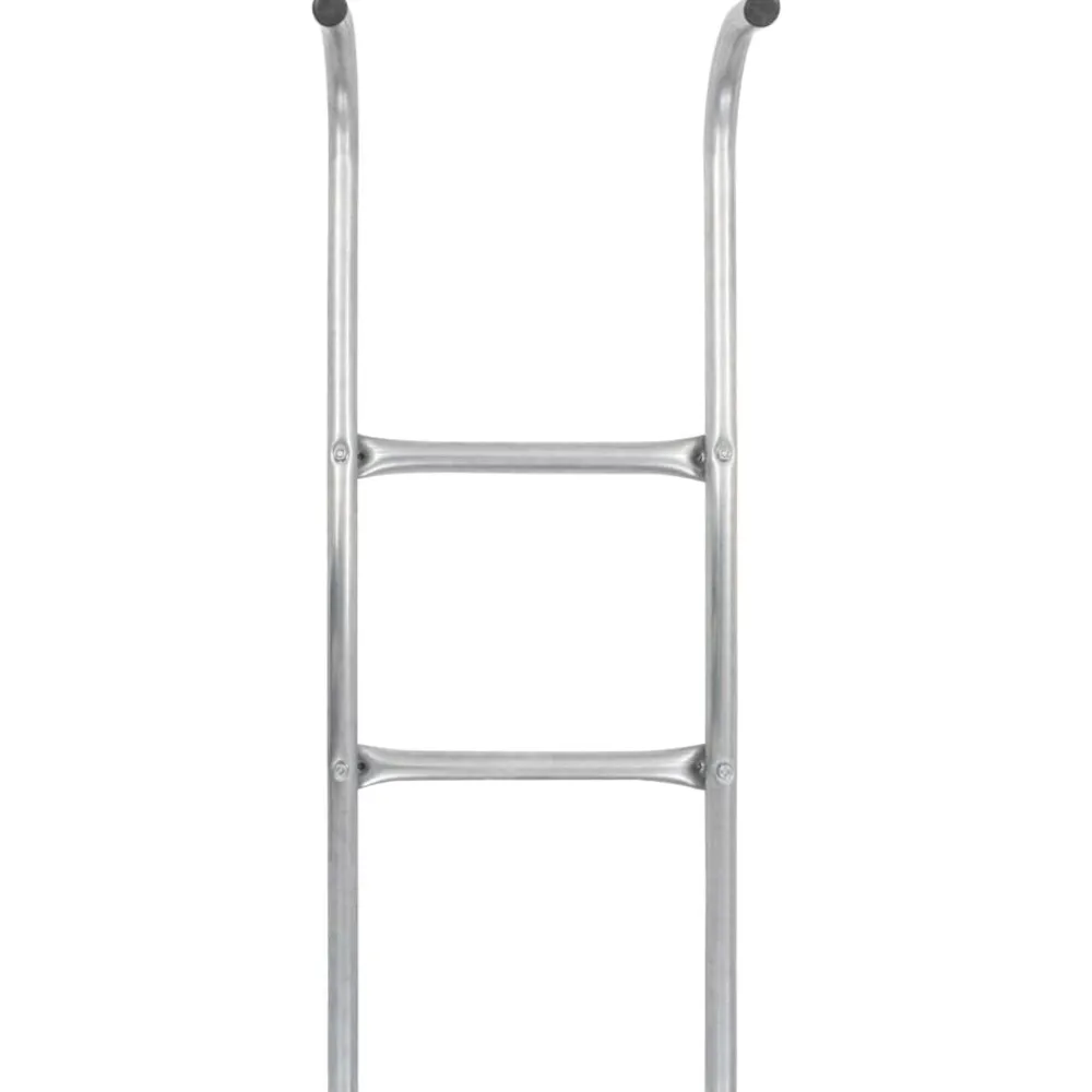 vidaXL Échelle de trampoline à 2 marches Acier Argenté 72 cm (Convient pour une Hauteur de 65 cm)