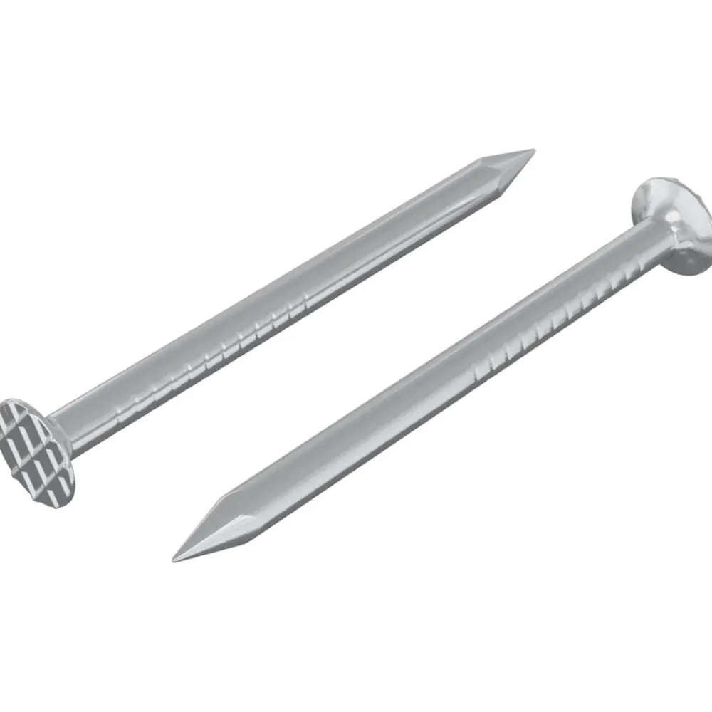 Accessoires De Quincaillerie-vidaXL Clous pour Bois 2 pcs Argenté Ø 3 x 15 mm Métал