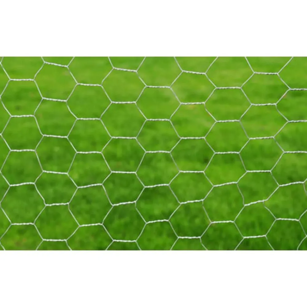 Clôtures & Barrières-vidaXL Clôture en treillis Acier galvanisé Hexagonal 1x25 m é Argent
