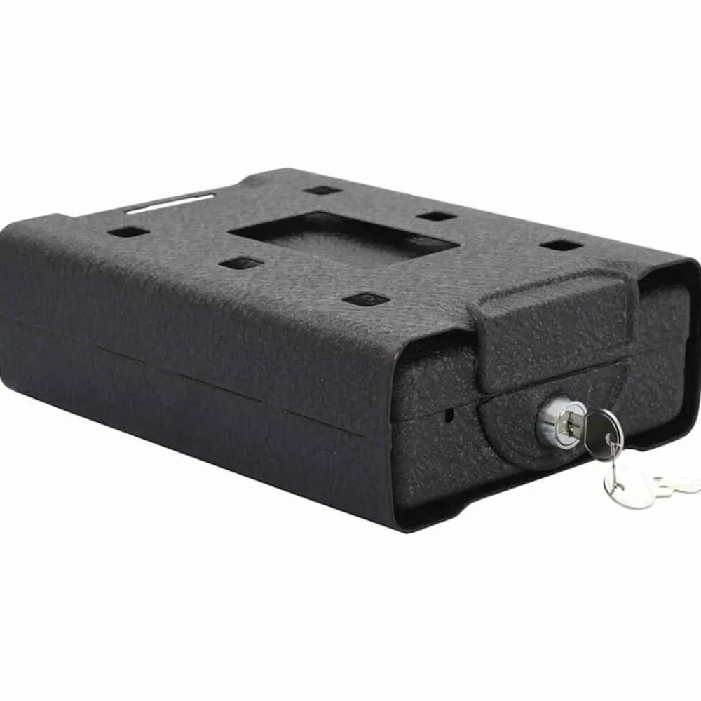 vidaXL Coffre de voiture avec verrouillage Noir 22 x 16 x 7 cm Acier