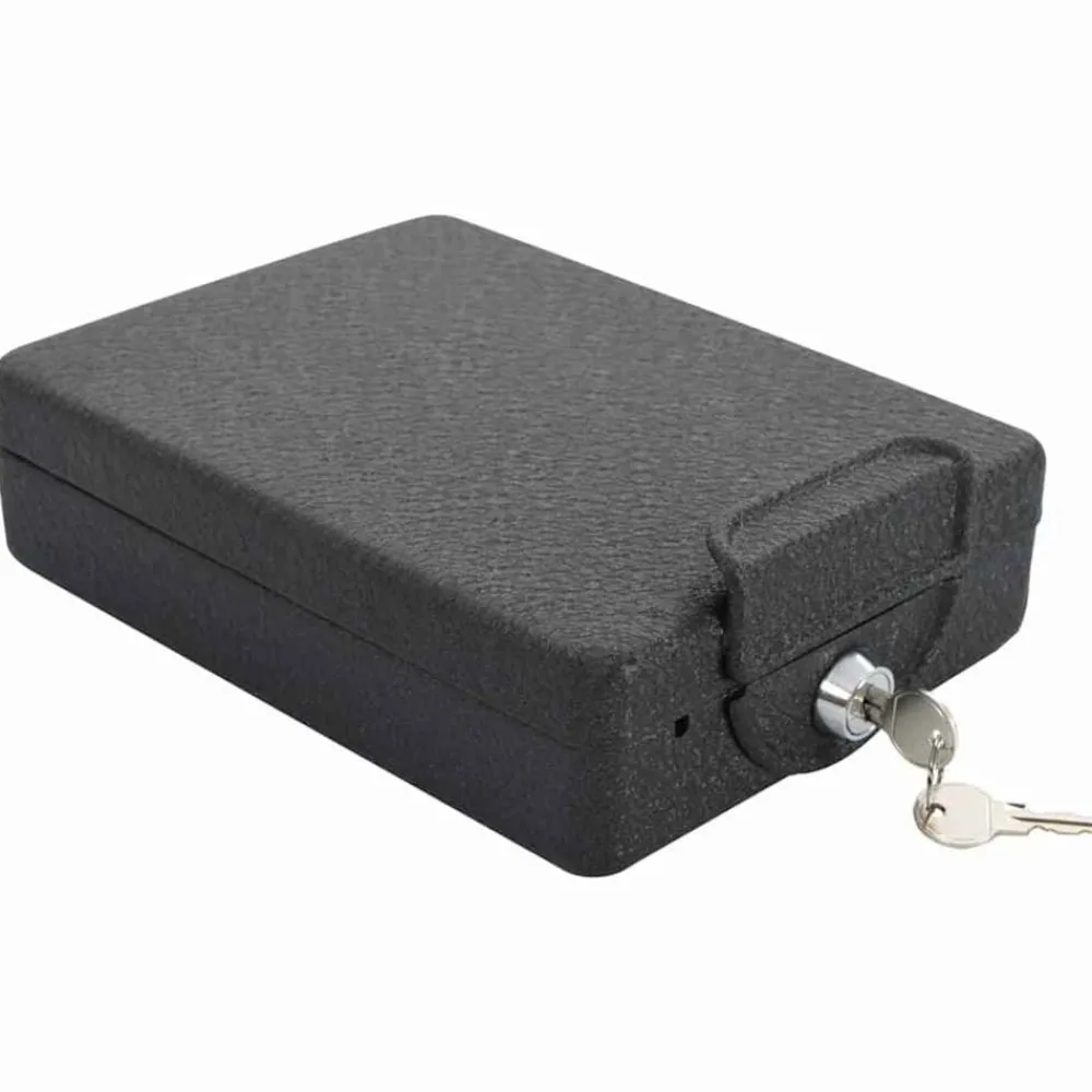vidaXL Coffre de voiture avec verrouillage Noir 22 x 16 x 7 cm Acier
