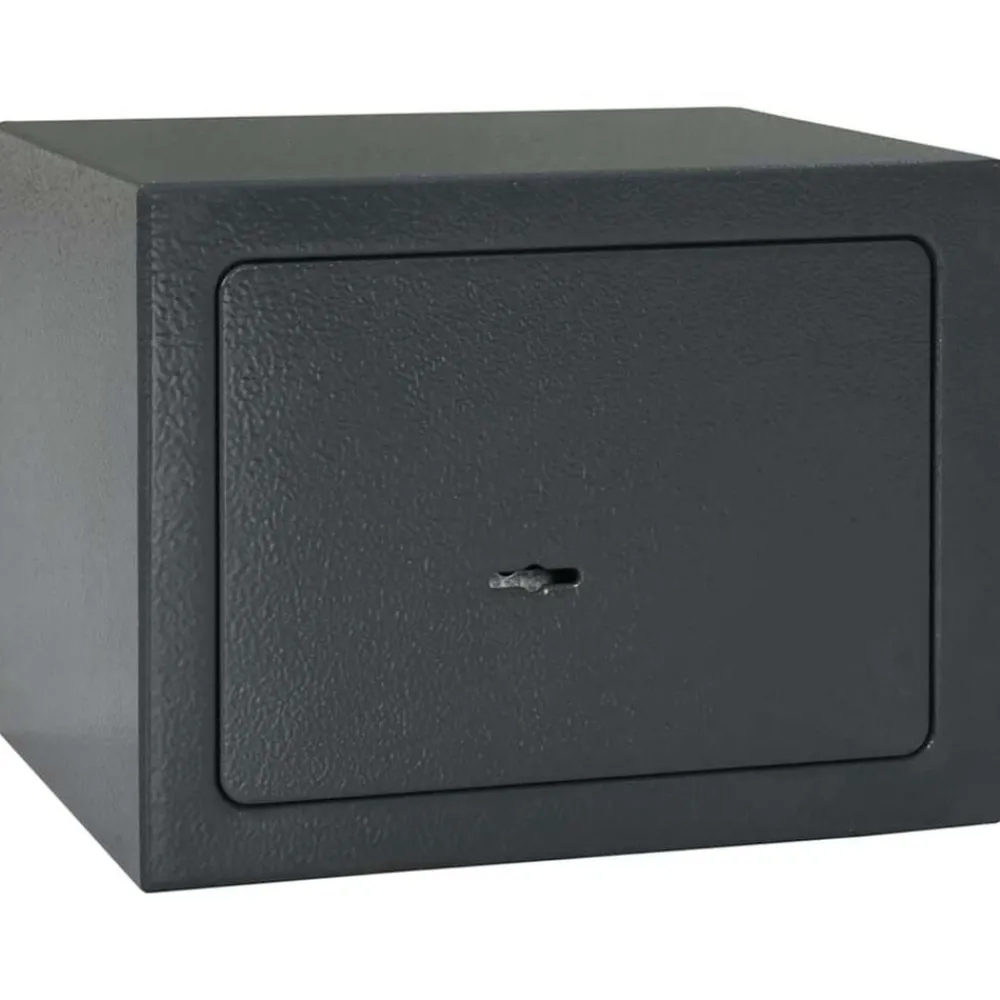 vidaXL Coffre-fort avec verrouillage Gris foncé 23 x 17 x 17 cm Acier