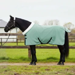 Loisirs De Plein Air-vidaXL Couure Équine foncé complet 75 cm Fleece polaire Vert