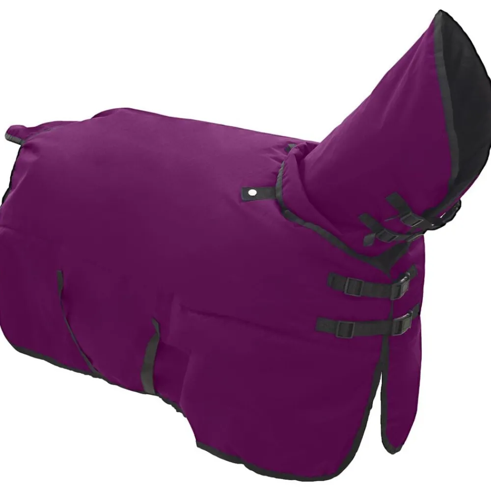 Loisirs De Plein Air-vidaXL Couverture Équine Vert foncé et noir 75 cm Polyester Pourpre