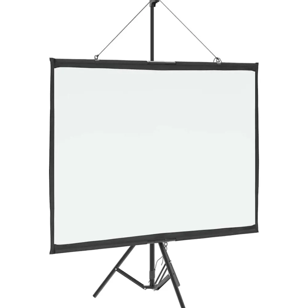 vidaXL Écran de projection avec trépied 50 pouces 4:3
