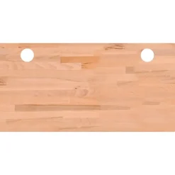 vidaXL Dessus de bureau 100x50x1,5 cm bois massif de hêtre