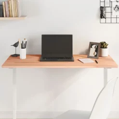 vidaXL Dessus de bureau 100x50x1,5 cm bois massif de hêtre