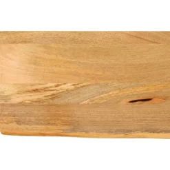 Accessoires Pour Tables-vidaXL Dessus de table à bord vivant 40x20x2,5 cm bois massif manguier Naturel