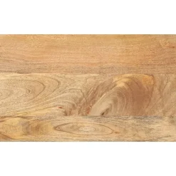Accessoires Pour Tables-vidaXL Dessus de table 40x20x3,8 cm rectangulaire bois massif manguier Bois de manguier (naturel)