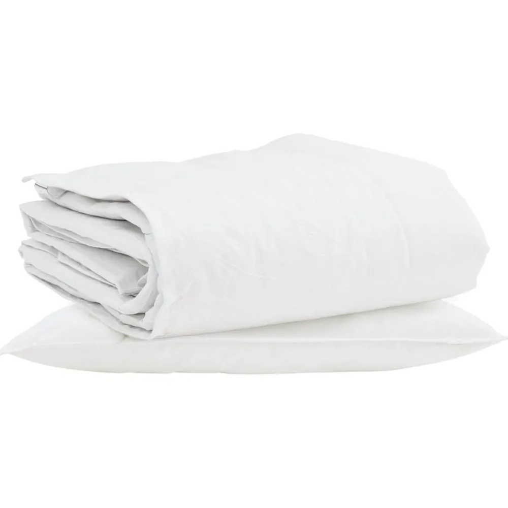 Linge-vidaXL Duvet d'hiver avec oreiller 2 pcs Blanc Plume de canard