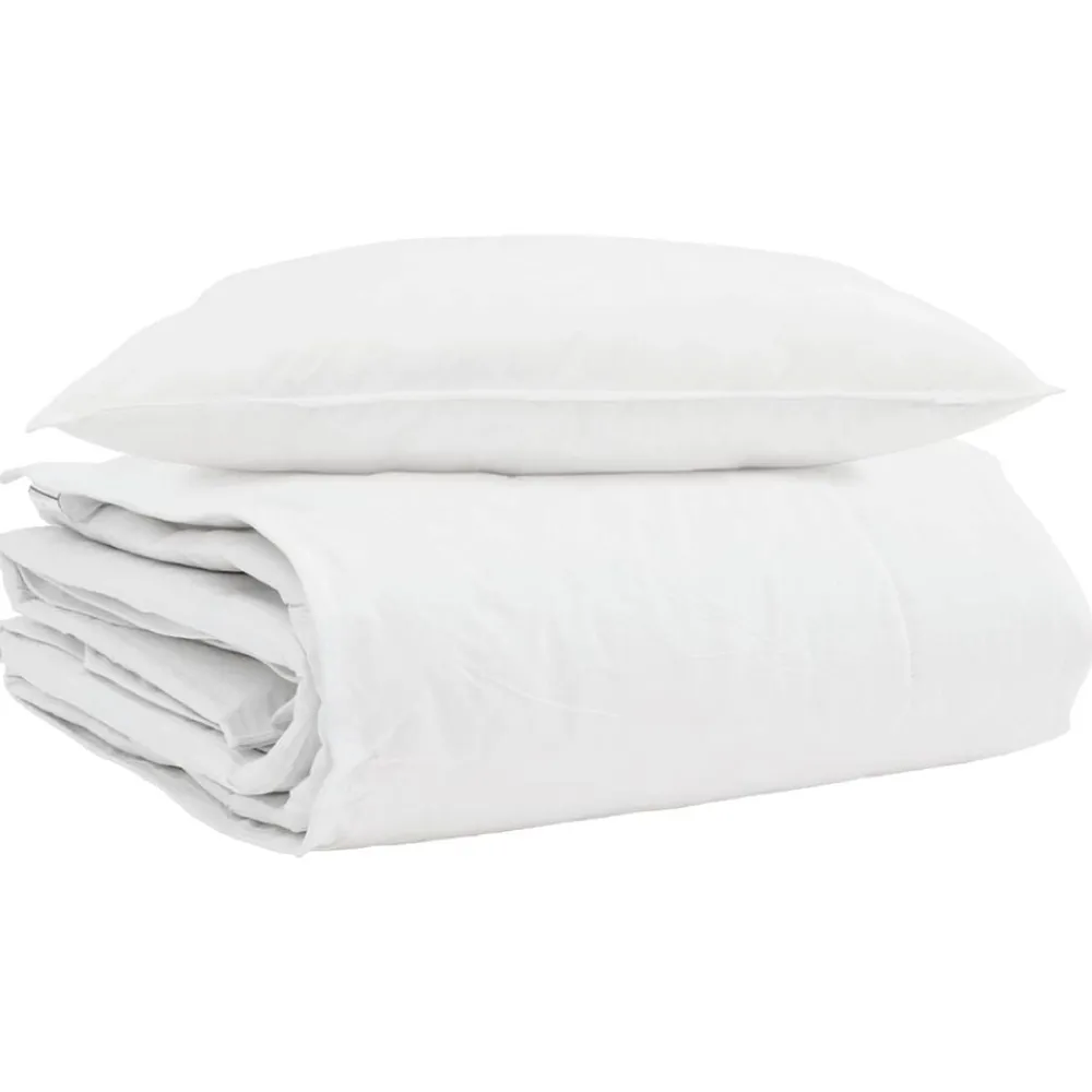 vidaXL Duvet d'hiver avec oreiller 2 pcs Blanc Plume de canard
