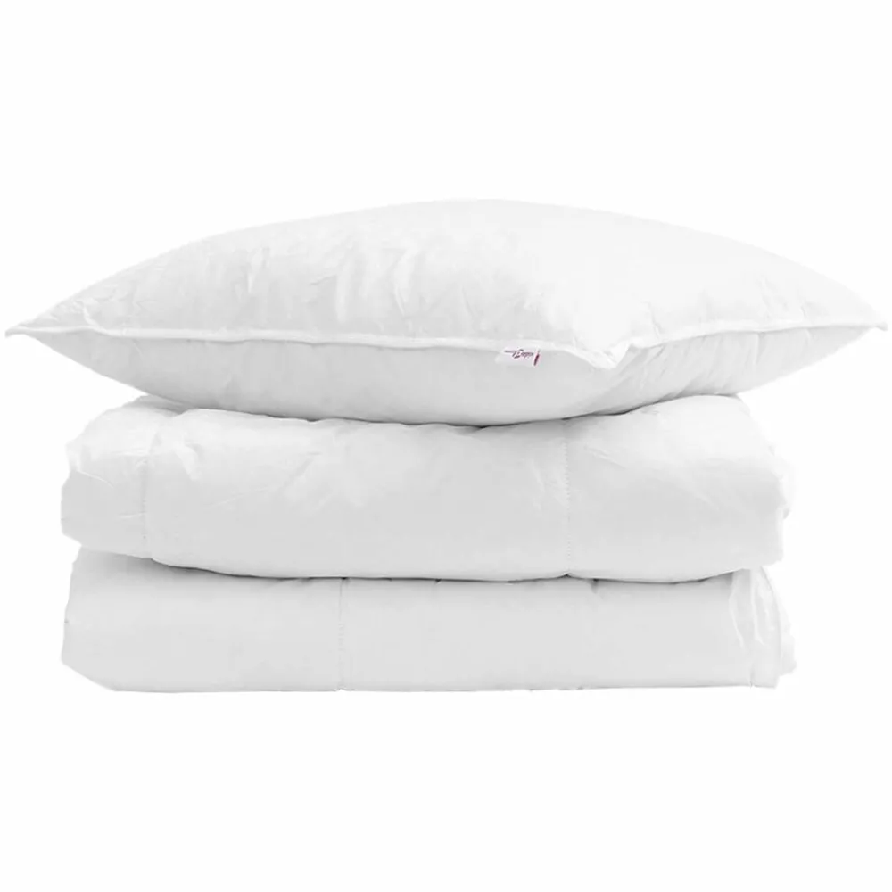 Linge-vidaXL Duvet d'hiver avec oreiller 2 pcs Blanc Plume de canard