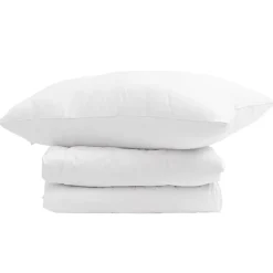 Linge-vidaXL Duvet d'hiver avec oreiller 2 pcs Blanc Plume de canard