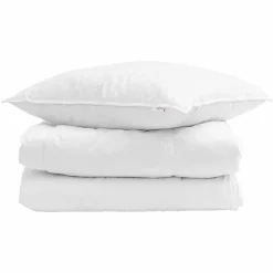 vidaXL Duvet d'hiver avec oreiller 2 pcs Blanc Plume de canard