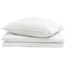 Linge-vidaXL Duvet d'été simple avec oreiller 2 pcs Blanc Plume de canard
