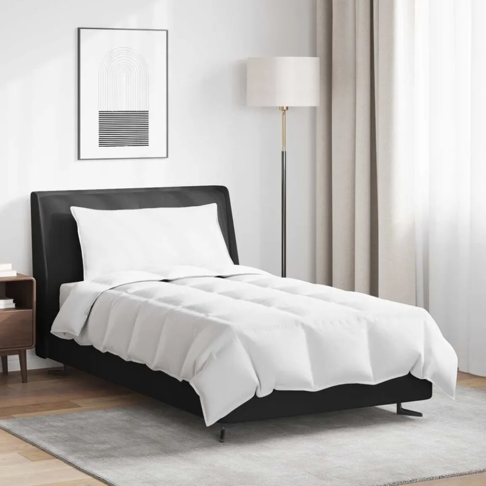 Linge-vidaXL Duvet d'été simple avec oreiller 2 pcs Blanc Plume de canard
