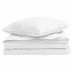 Linge-vidaXL Duvet 2-en-1 avec oreiller 2 pcs Blanc Plume de canard