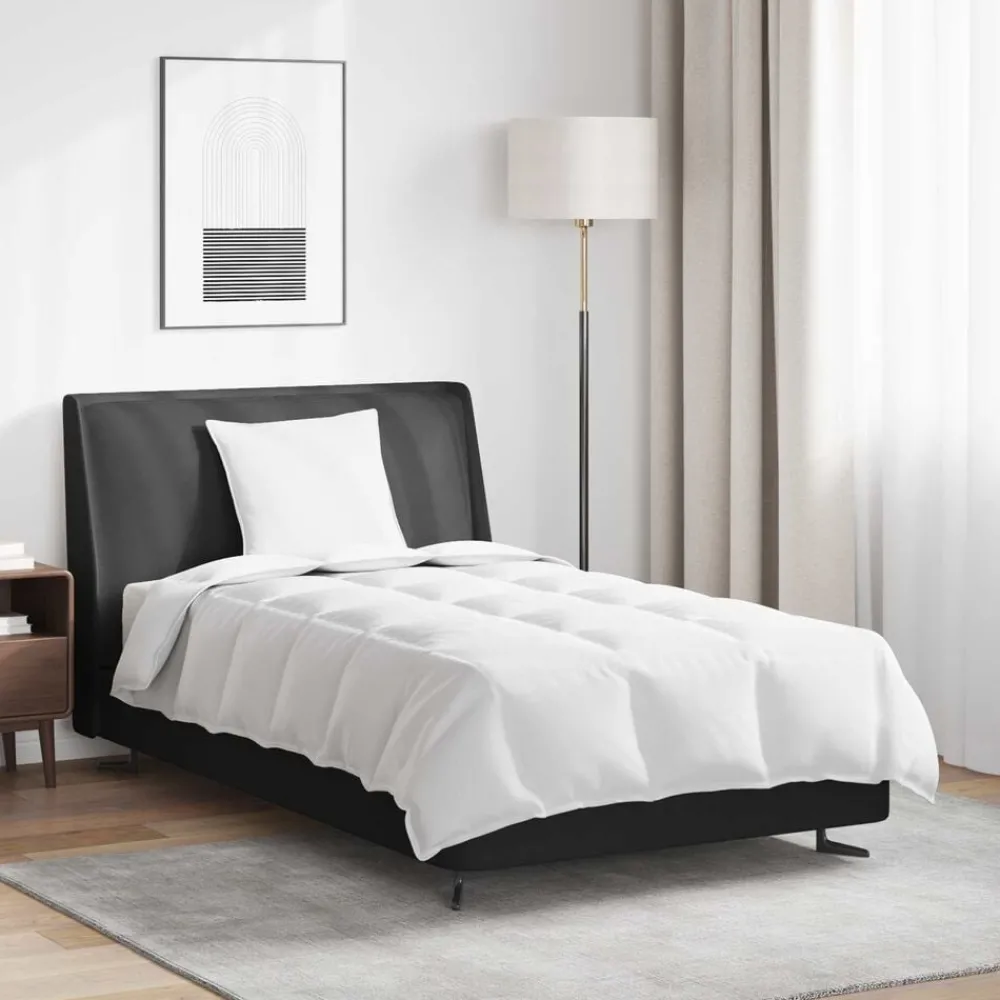 Linge-vidaXL Duvet 2-en-1 avec oreiller 2 pcs Blanc Plume de canard