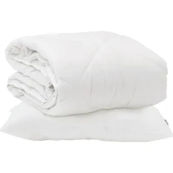 vidaXL Duvet toutes saisons avec oreiller 2 pcs Blanc Microfibre